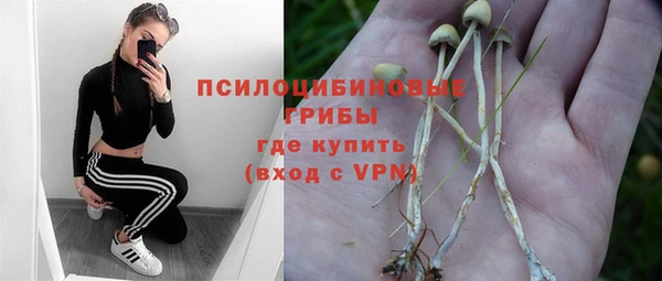 эйфоретик Майский