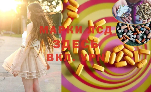эйфоретик Майский