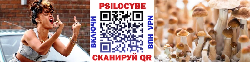 omg зеркало продажа наркотиков Златоуст Псилоцибиновые грибы прущие грибы